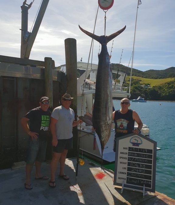 2019 One Base Report